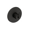 Newport Brass Kimbell: 3/4" Round Thermostatic Trim Plate with Handle
