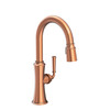 Newport Brass Stripling(R): Prep/Bar Pull Down Faucet