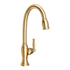 Newport Brass Nadya(R): Pull-Down Kitchen Faucet