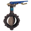 WD-3222-5 2 in. Butterfly Valve - Ductile Iron, Wafer Type, Stainless Steel Disc