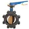 LD-2122-5 3 in. Butterfly Valve - Ductile Iron, Lug Type, 200 PSI
