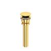 Lavatory Universal Push Drain