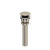 Lavatory Universal Push Drain