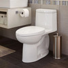 Loft(R) One-Piece 1.28 gpf/4.8 Lpf Chair Height Elongated Toilet With Seat