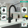 Focus N Bar Faucet, 1.75 Gpm in Matte Black