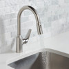 Focus N Prep Kitchen Faucet, 2-Spray Pull-Down, 1.75 Gpm in Stainless Steel Optic