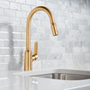 Focus N Higharc Kitchen Faucet, 2-Spray Pull-Down, 1.75 Gpm in Brushed Gold Optic