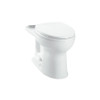 Elongated Toilet Bowl with SanaGloss Ceramic Glaze - Seat Not Included in Cotton