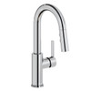 Avado Single Hole Bar Faucet With Pull-Down Spray And Lever Handle Chrome in Chrome