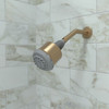 Clubmaster Showerhead 3-Jet, 2.5 Gpm in Brushed Bronze