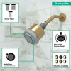 Clubmaster Showerhead 3-Jet, 2.5 Gpm in Brushed Bronze