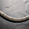 Designflex Textile Handshower Hose, 80" in Brushed Nickel