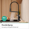 Talis N Semi-Pro Powderspray Kitchen Faucet 1.75 Gpm in Brushed Black Chrome