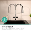Talis N Semi-Pro Powderspray Kitchen Faucet 1.75 Gpm in Brushed Gold Optic