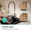 Talis N Semi-Pro Powderspray Kitchen Faucet 1.75 Gpm in Brushed Bronze