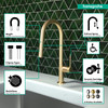 Talis N Higharc Kitchen Faucet, A-Style, 2-Spray Pull-Down, 1.75 Gpm in Brushed Gold Optic