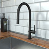 Talis N Higharc Kitchen Faucet, O-Style 2-Spray Pull-Down, 1.75 Gpm in Matte Black