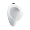 UT104E#01 3/4-in Top Spud Wall Mounted Urinal Fixture in Cotton UT104E#01 3/4-in Top Spud Wall Mounted Urinal Fixture in Cotton