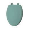 Plastic Elongated Slow-Close Toilet Seat in Spruce Green