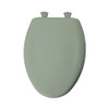 Plastic Elongated Slow-Close Toilet Seat in Aspen Green