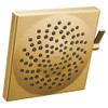 2.5 GPM Two-Function Spray Head Square Rainshower in Brushed Gold