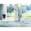 4153-DST Single Handle Water Efficient Pull-Out Kitchen Faucet in Polished Chrome