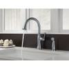 Single Handle Kitchen Faucet with Spray in Arctic Stainless