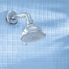 Grohe 26045000 New Tempesta Rustic 100 Shower Head With 4 Sprays