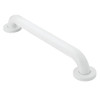 36in x 1-1/4in Grab Bar in Glacier