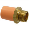 5004-BI 2 MALE AD SXMPT FP-CPVC, Mechanical Adapter - BlazeMaster CPVC, Male, Threaded Insert MNPT x S, 5004-BI  - Box of 2