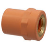 5003-2S-BT 1X1/2 BRASTIC SHA SPXF FP-CPV, BRASTIC Spigot Sprinkler Head Adapter - BlazeMaster CPVC, M x FNPT, 5003-2-S-BT  - Box of 50