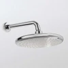 Standard Showerhead in Polished Chrome, 2.5 GPM