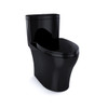 1.0 and 0.8 GPF Dual Flush One-Piece Elongated Chair Height Toilet in Ebony