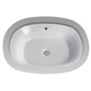 20-3/8-in Undermount Bathroom Sink with Overflow and SanaGloss Ceramic Glaze in Colonial White