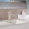 Single Hole Bathroom Faucet with Speed Connect Technology Drain in Brushed Nickel