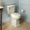 Right Height Elongated Toilet in Linen