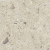 25-in x 19-in Bathroom Vanity Top with Eased Edge in Carmel
