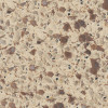 49-in x 22-in Bathroom Vanity Top with Eased Edge in Sorrento Coast