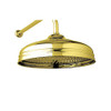 12in Single Function Shower Head in English Gold