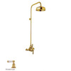 Shower System in English Gold