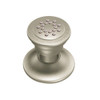 2in Adjustable Single Function Body Spray in Brushed Nickel