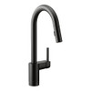 7565BL Matte Black One-Handle Pulldown Kitchen Faucet