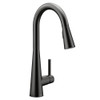 Matte Black One-Handle Pulldown Kitchen Faucet