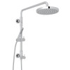 Retro-Fit Shower Column Riser with Diverter/Handshower/Hose/Showerhead Set in Polished Chrome