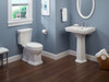1.0 GPF Two-Piece Elongated Toilet in Cotton