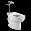 2855.016.020 Commercial Toilet with Manual Flushing Valve Combo