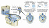 H2Option Dual Flush Elongated 0.92/1.28 Gpf 2-Piece Toilet - Lined Tank, in Bone