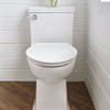 Right Height Elongated One-Piece Toilet with Seat, in White