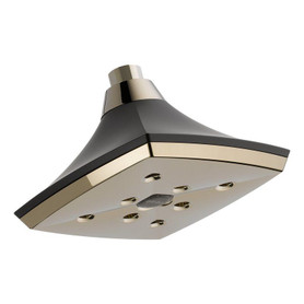 Single Function Raincan Shower Head in Polished Nickel/Cocoa Bronze