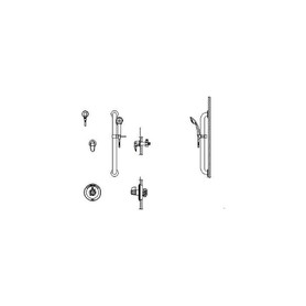 Commercial T13H: Universal Dual Shower Trim Diverter Hand Shower and Grab Bar